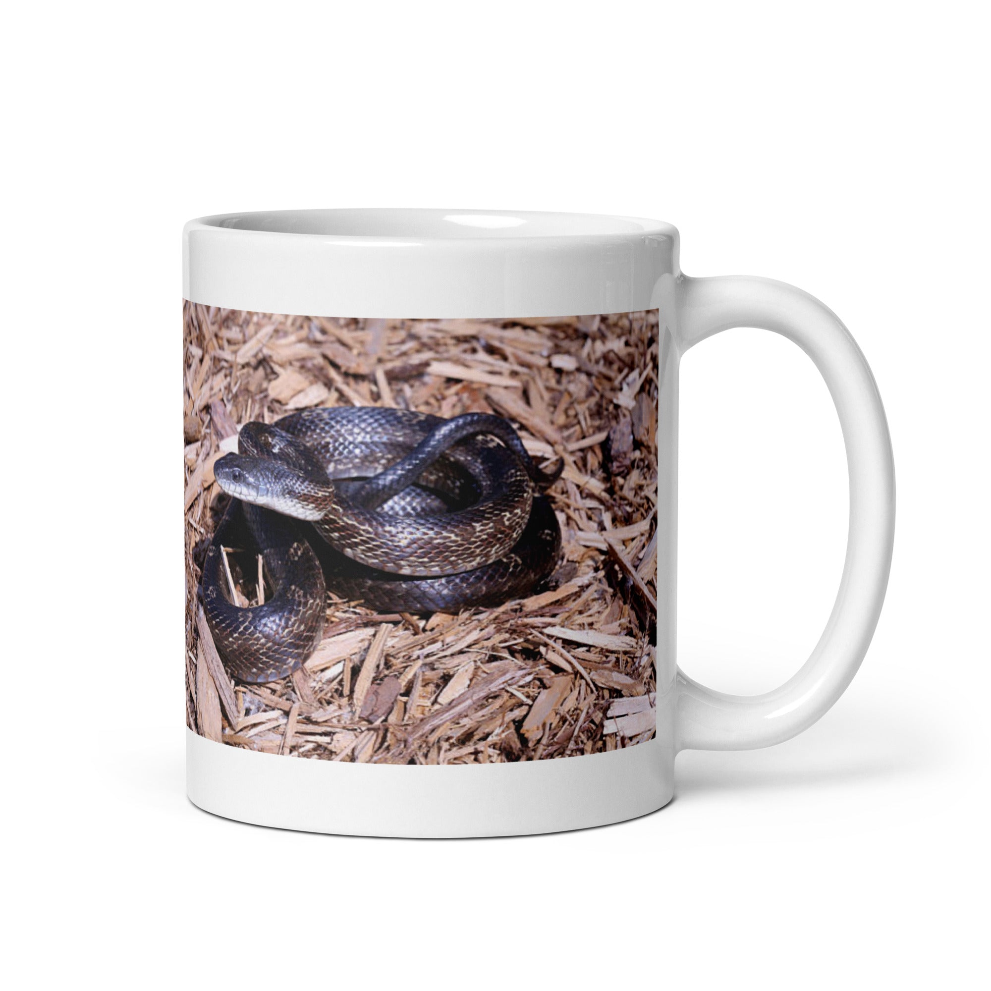 "Rat Snake  Mug #1: Grace and Adaptability of the Wild  (Ceramic)"