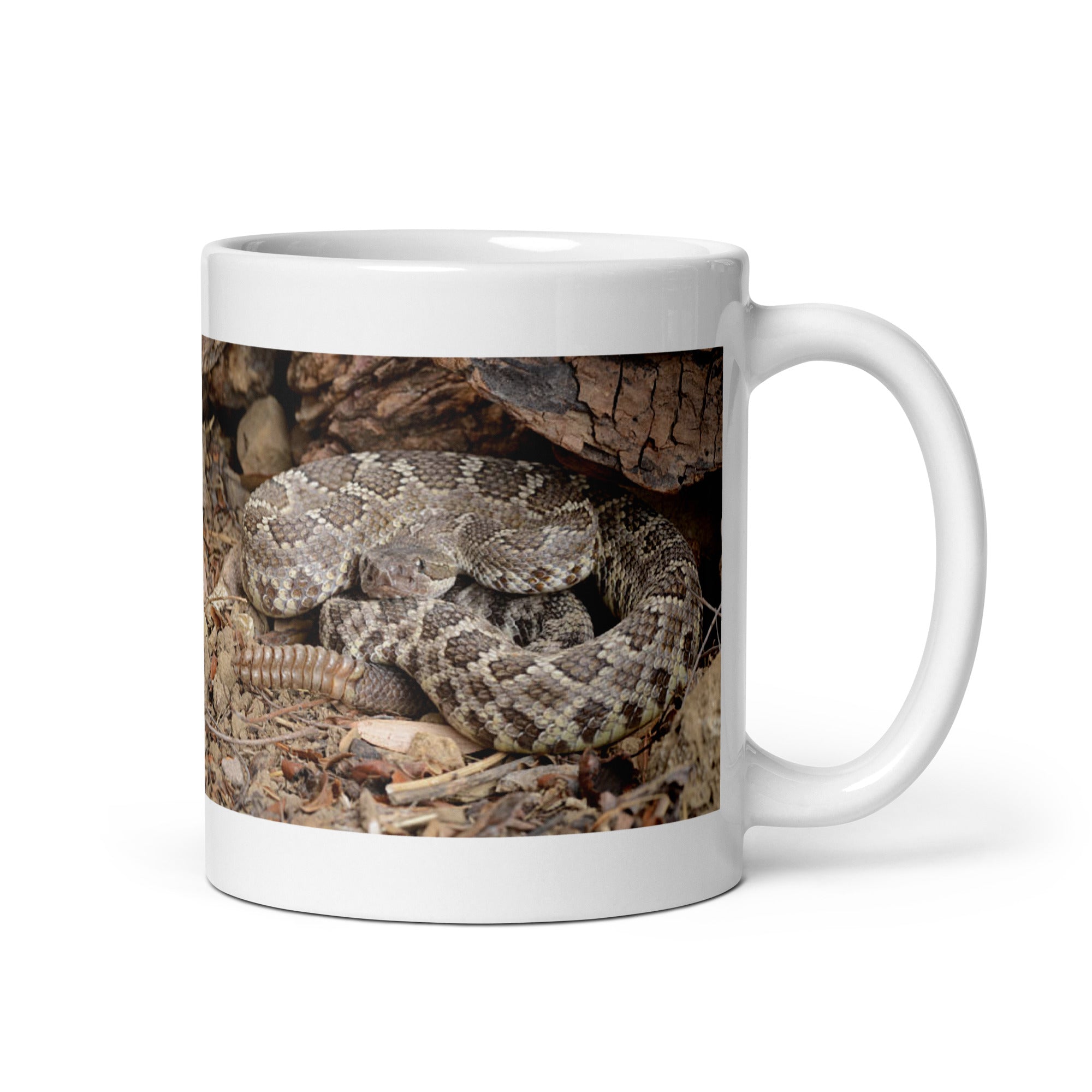 "Rattlesnake Mug #1: Power and Warning of the Desert  (Ceramic)"