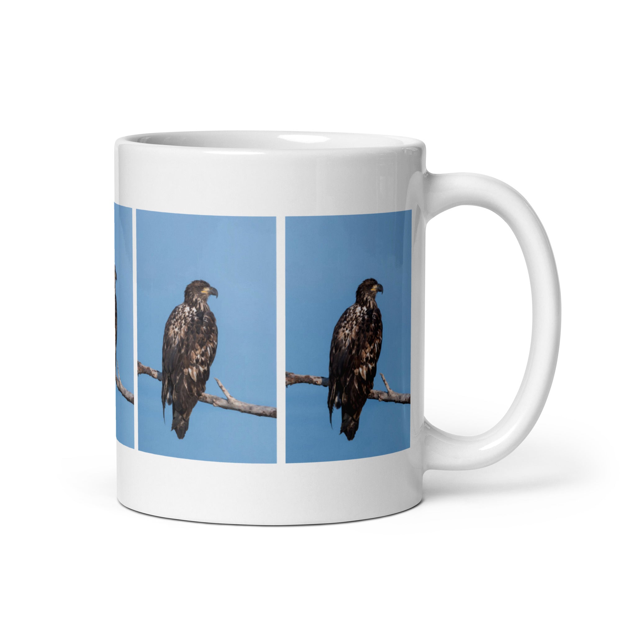 "Eagle Mug #1: The Keen-Eyed Hunter (Ceramic)"