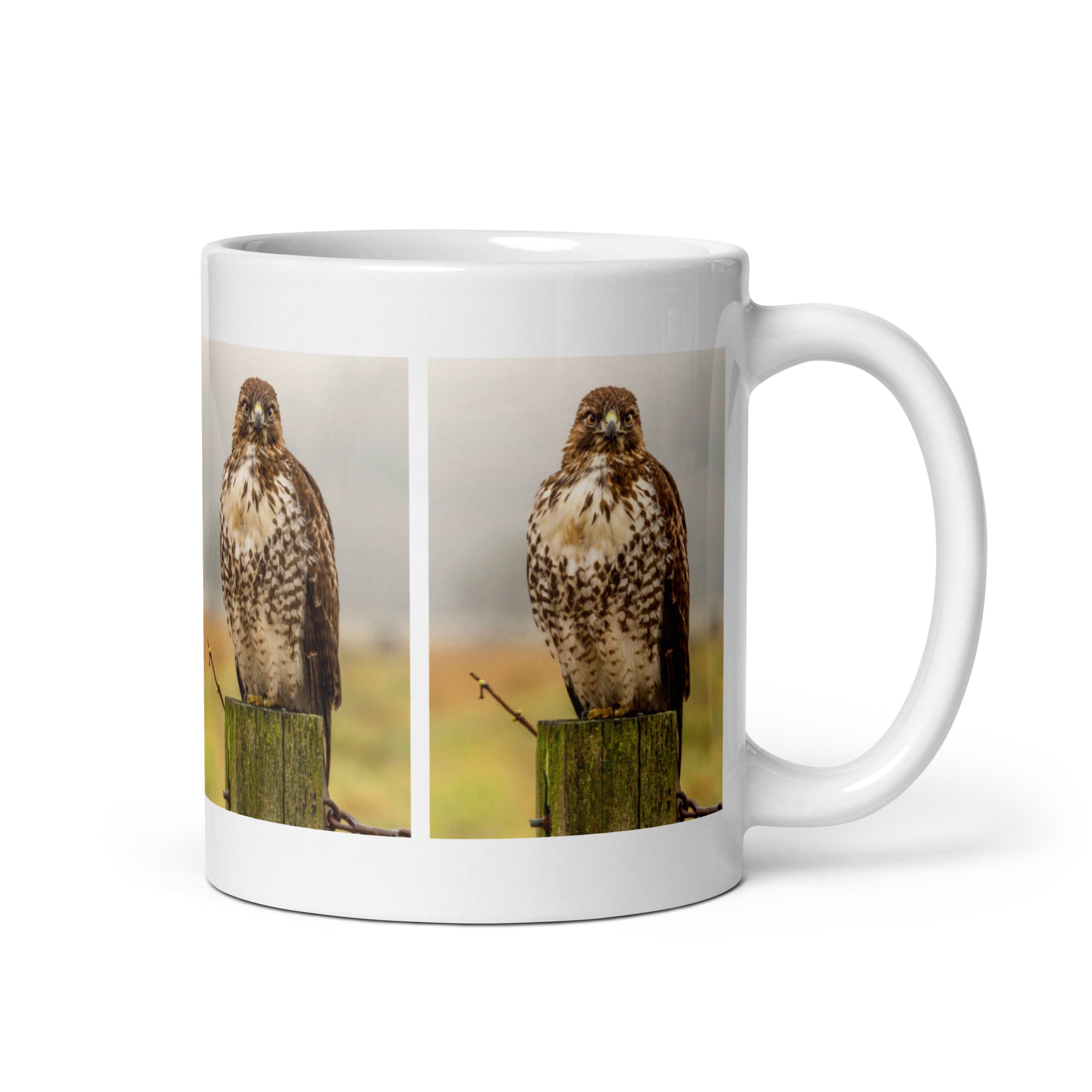 "Hawk Mug #1: The Sharp-Eyed Hunter (Ceramic)"