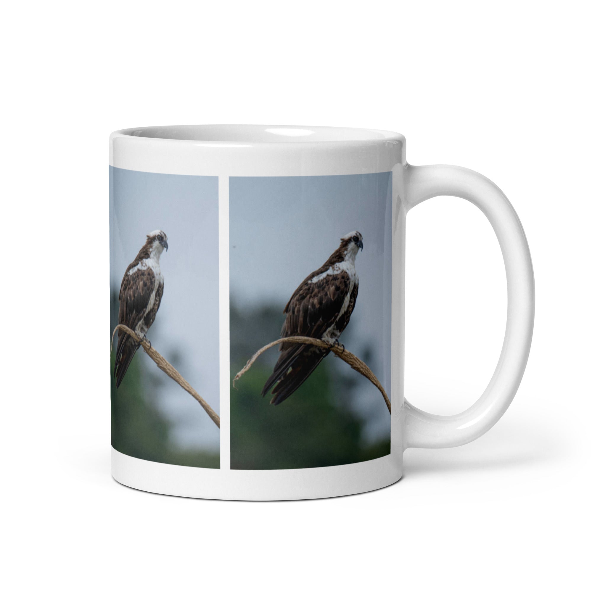 "Osprey Mug #1: The Daring Diver (Ceramic)" - 0