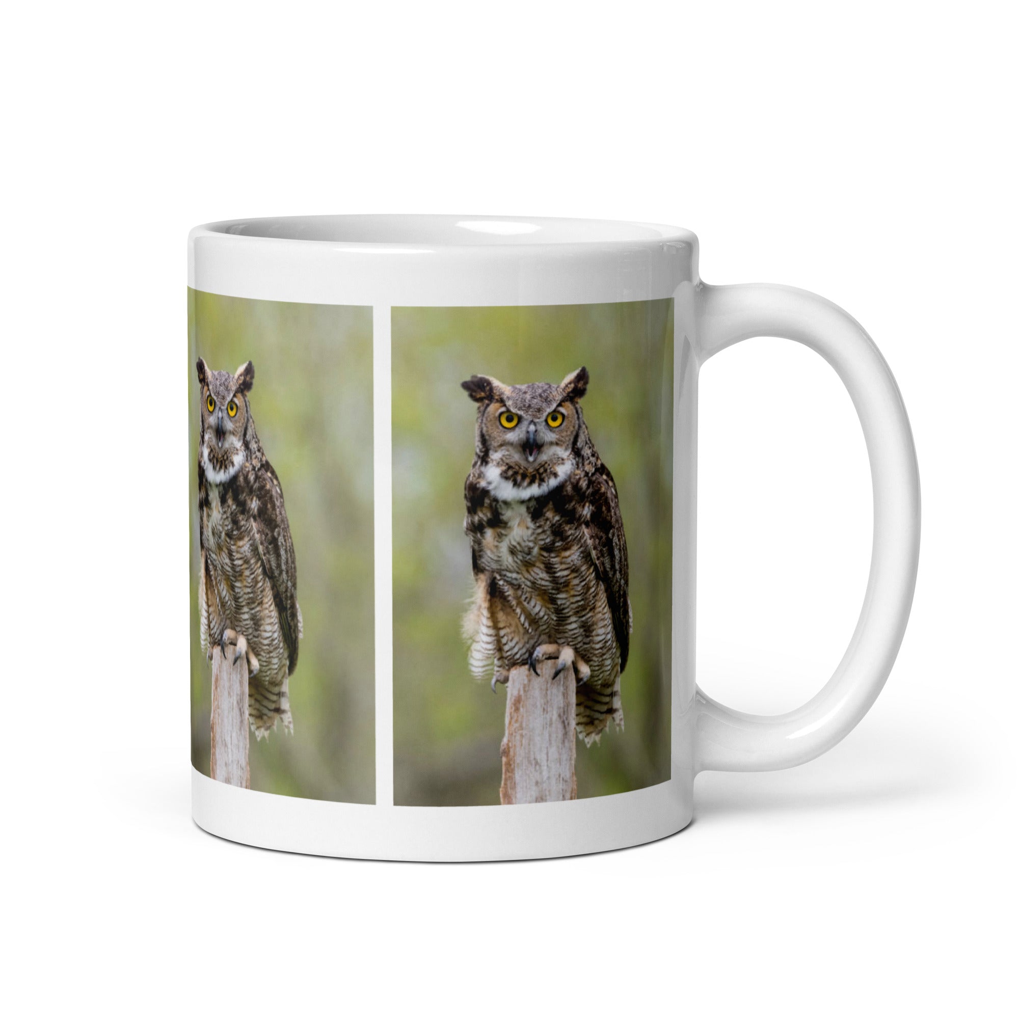 "Owl Mug #1: The Wise Watcher (Ceramic)" - 0