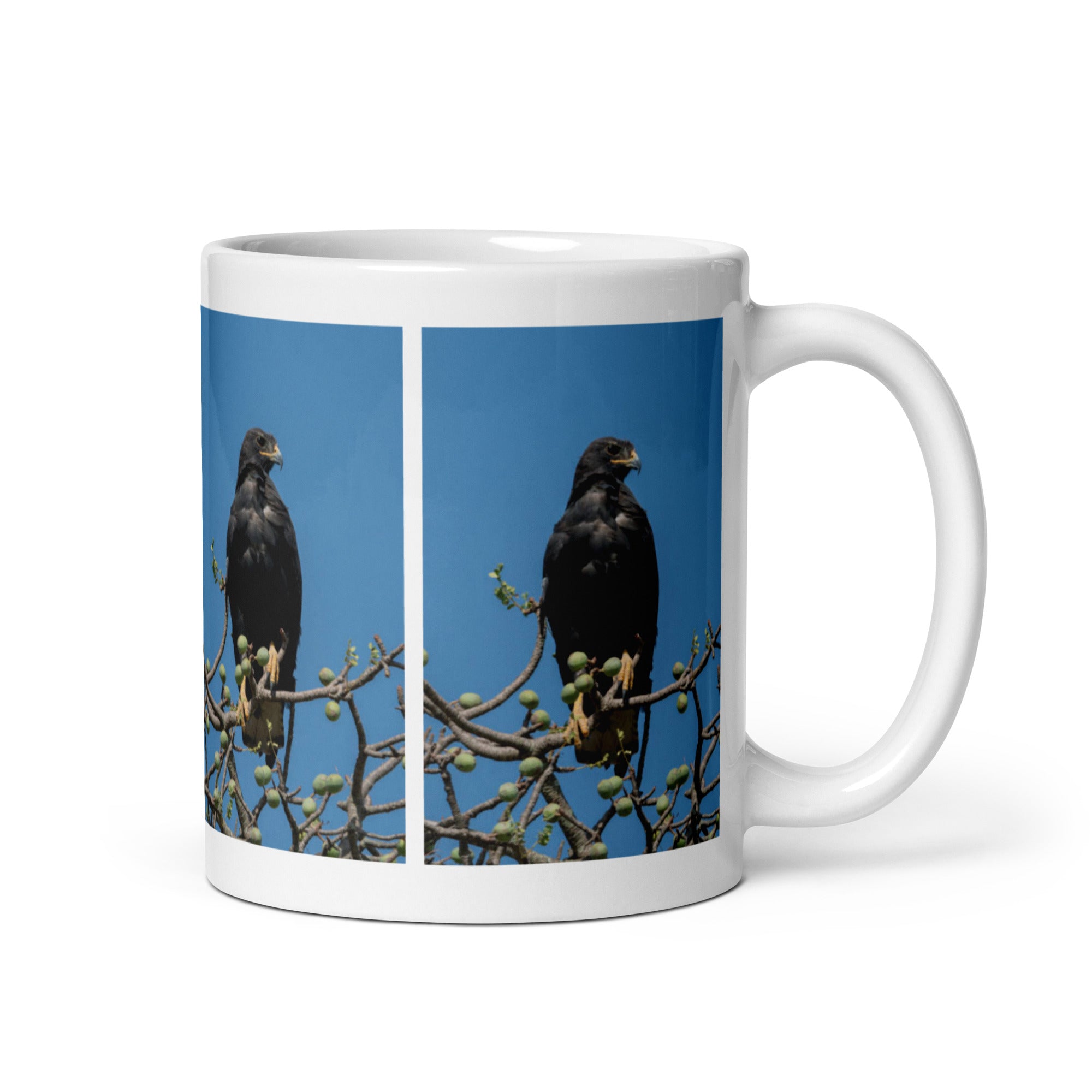 "Verreaux's Eagle Mug #1: The Cliffside King (Ceramic)"