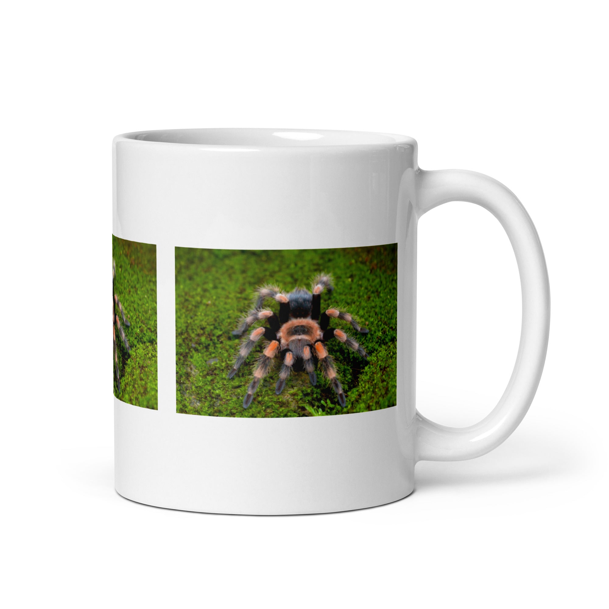 "Tarantula Mug #1: The Hairy Hunter (Ceramic)"