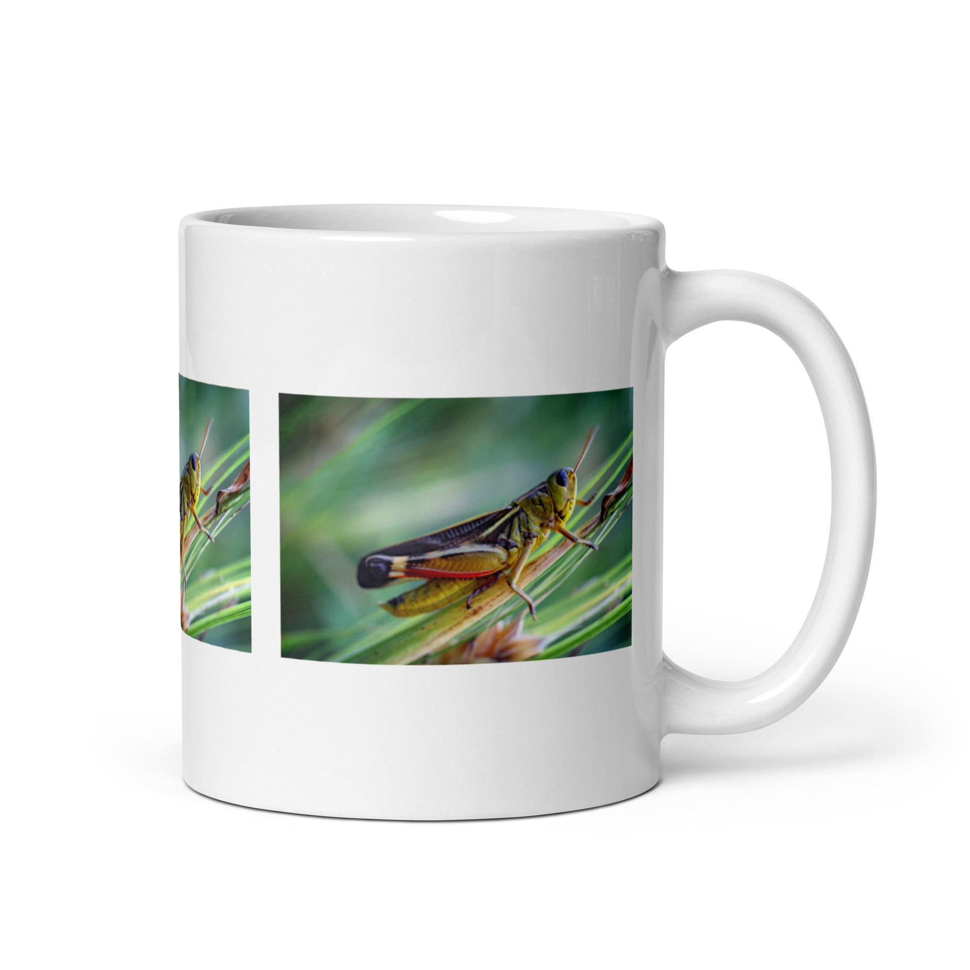 "Cricket Mug #1: The Chirping Champion (Ceramic)" - 0