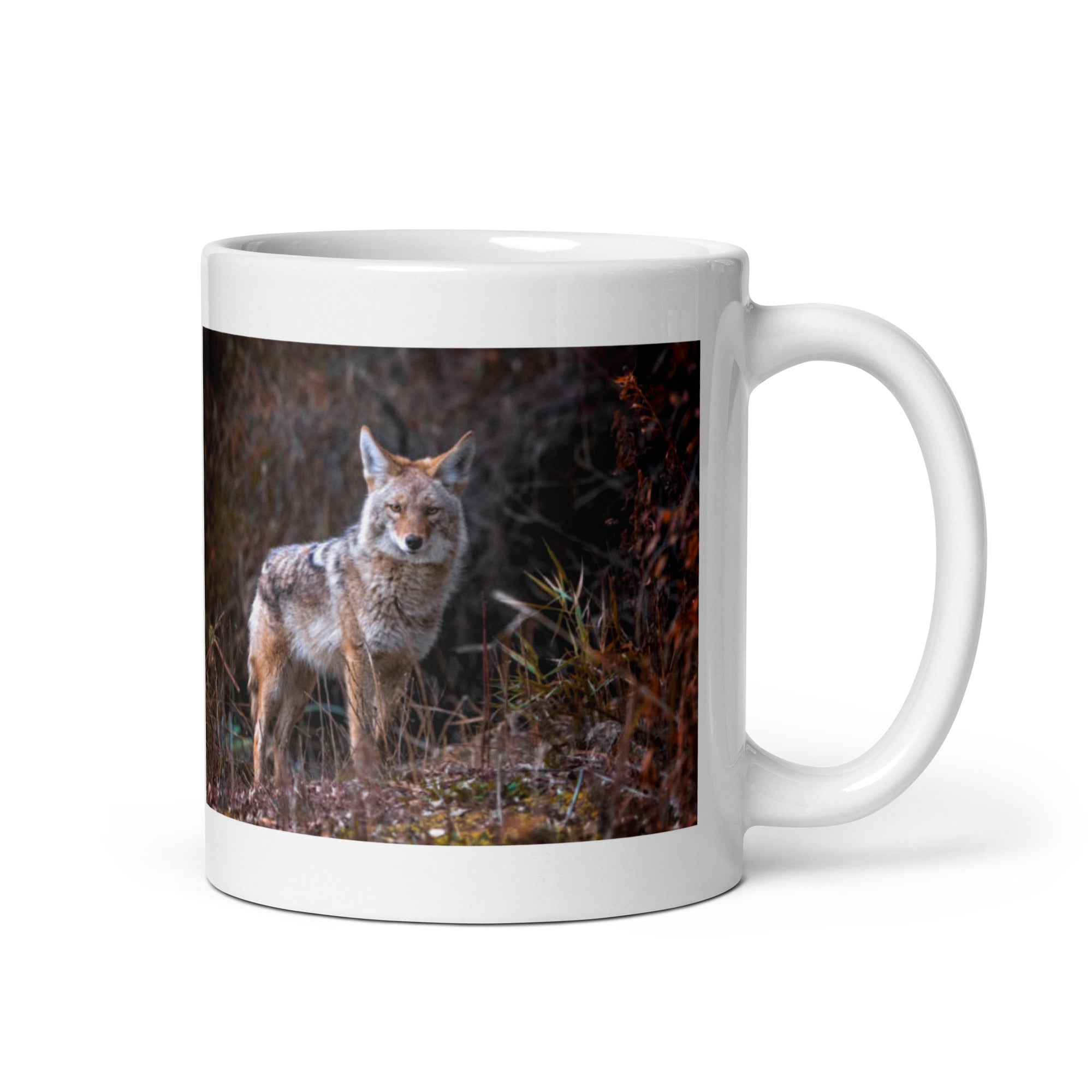 "Coyote Mug #1: The Adaptable Songdog (Ceramic)" - 0