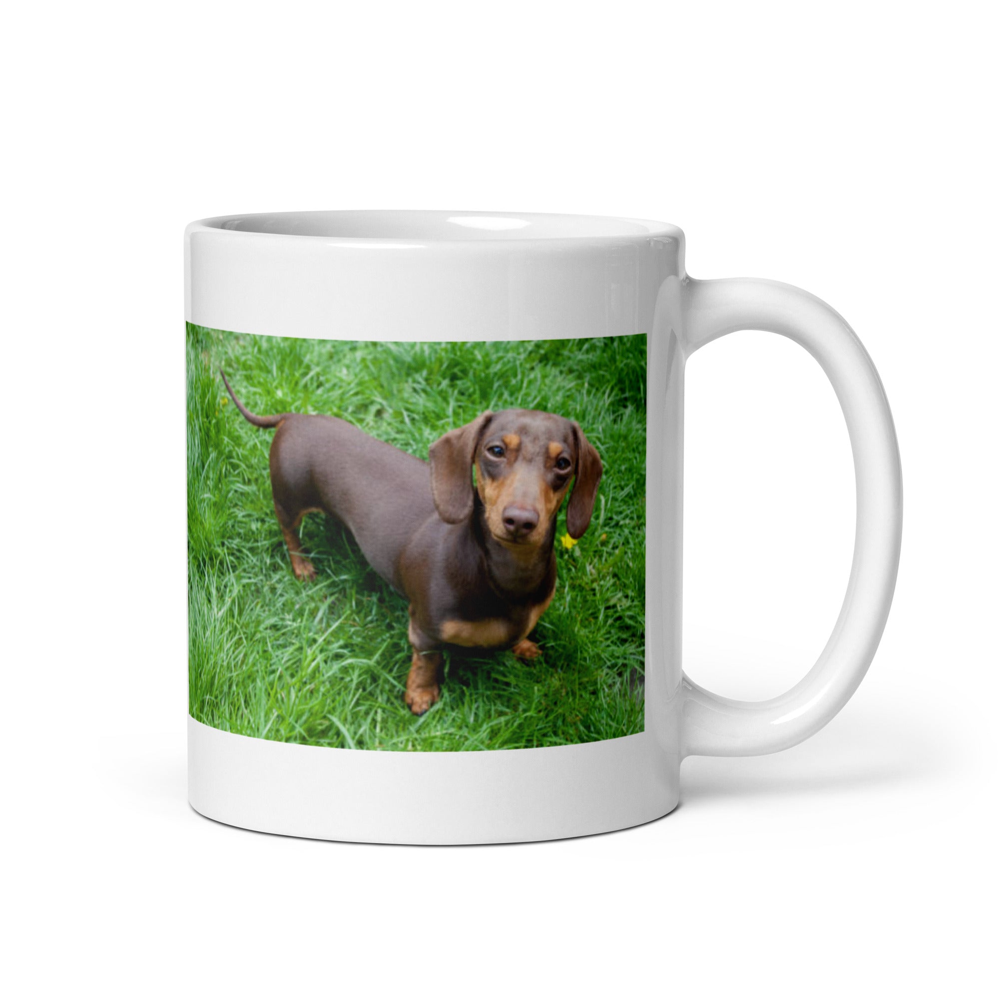 "Dachshund Mug #1: The Short-legged Sniffer (Ceramic)" - 0