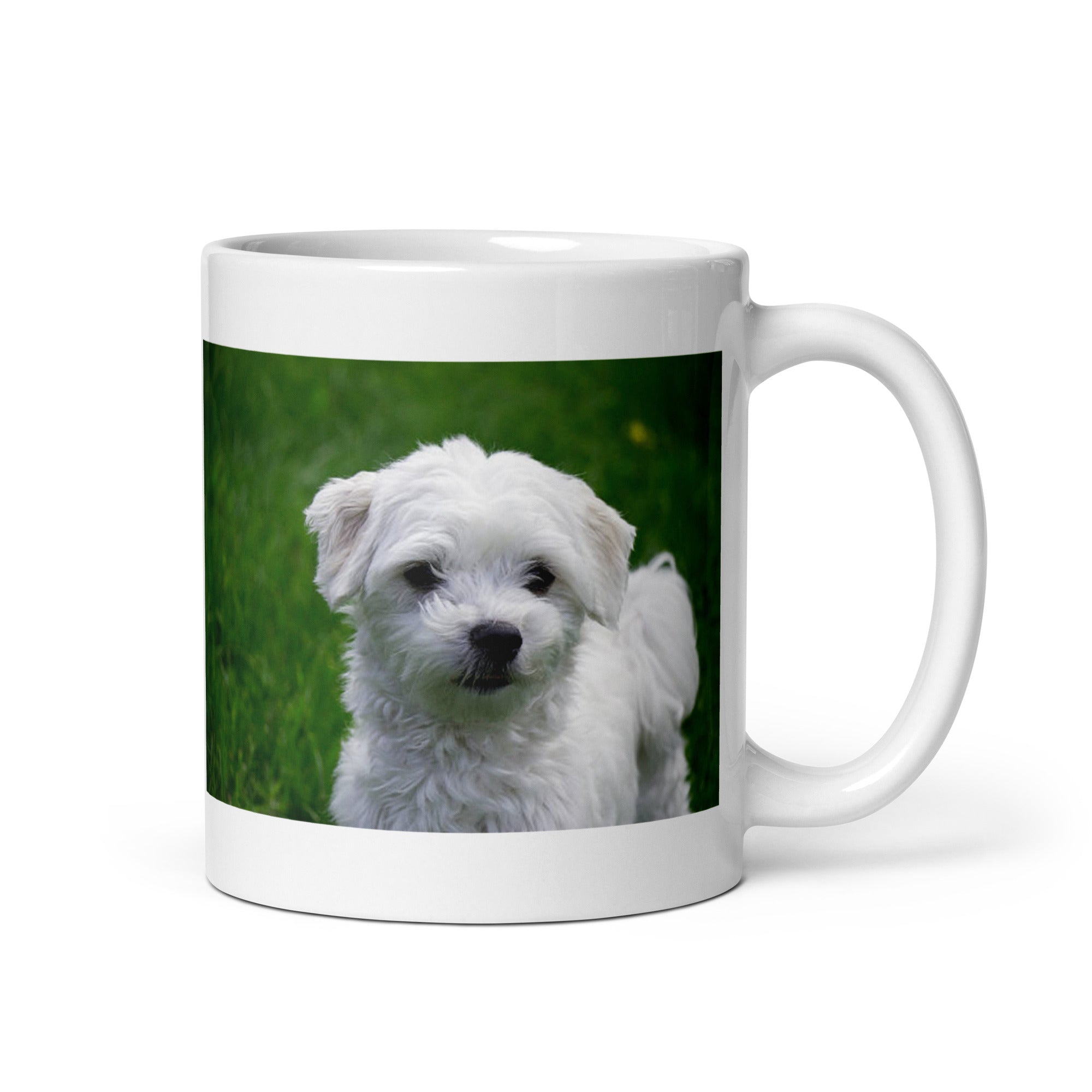 "Maltese Mug #1: The Ancient Lapdog (Ceramic)"