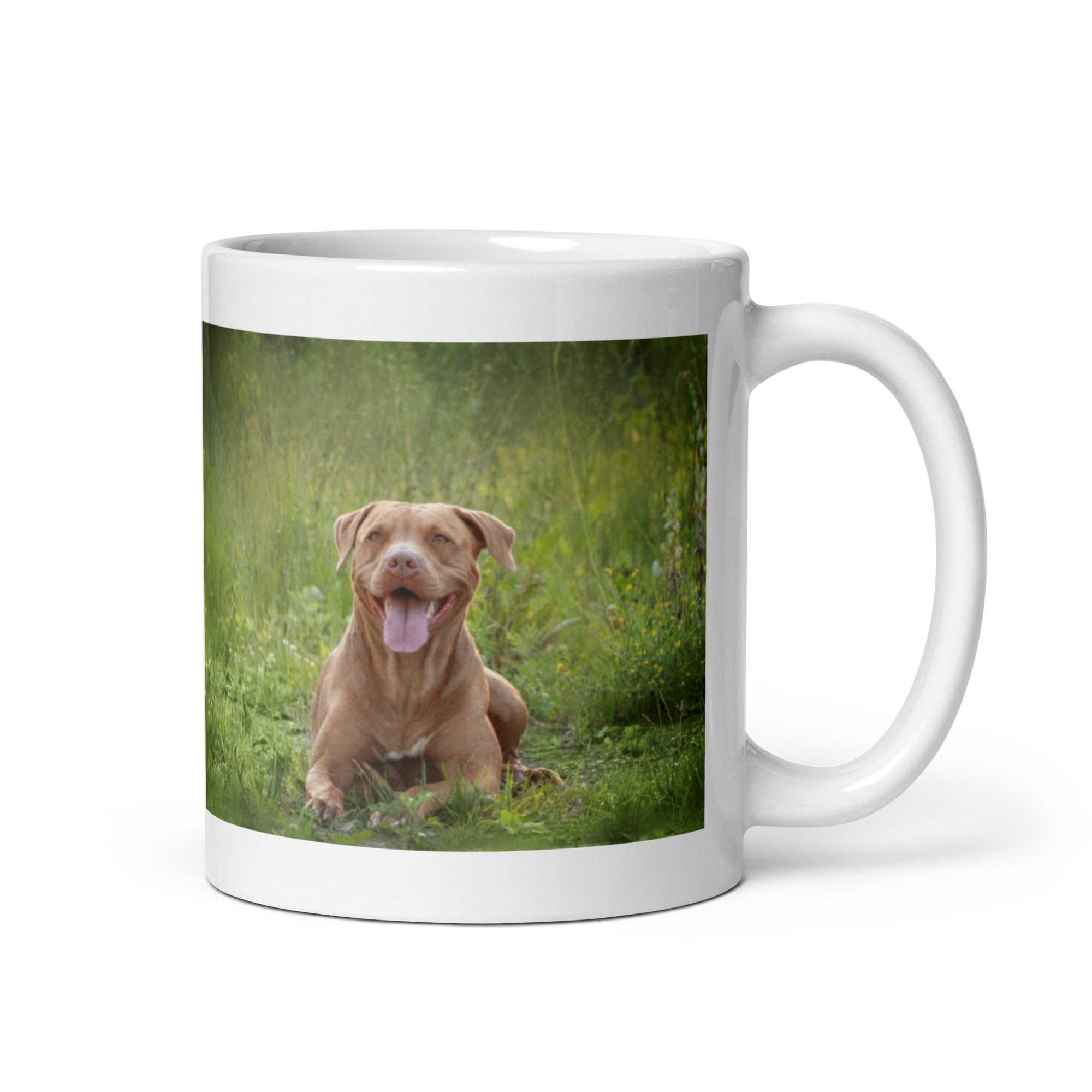 "Pit Bull Terrier Mug #1: The Loyal & Loving Companion (Ceramic)"