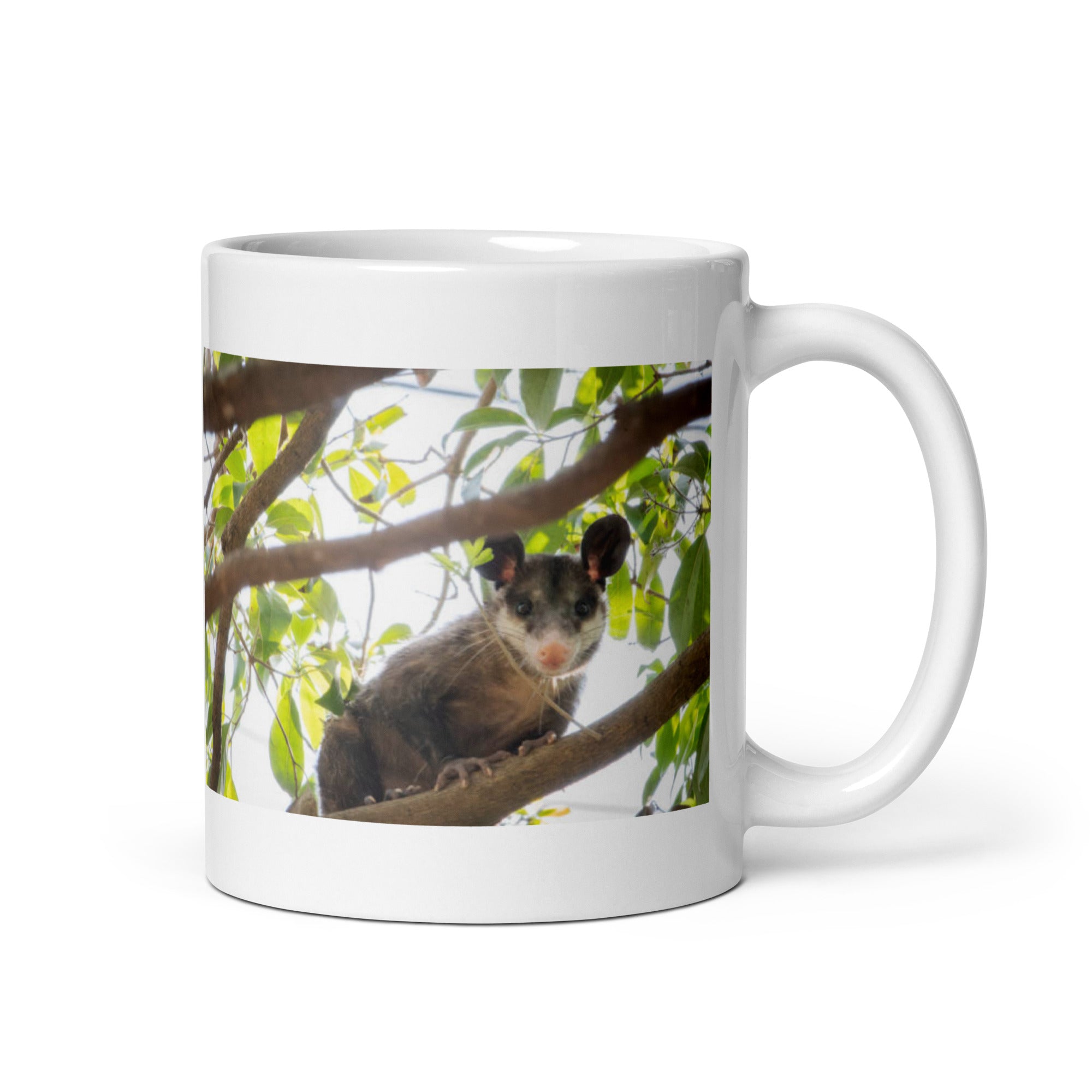 "Opossum Mug #1: The Playful Survivor (Ceramic)"