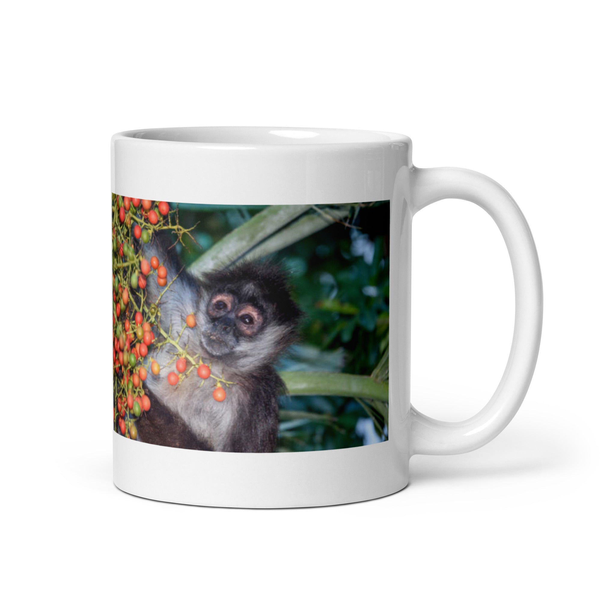 "Spider Monkey Mug #1: The Agile Brachiator (Ceramic)" - 0