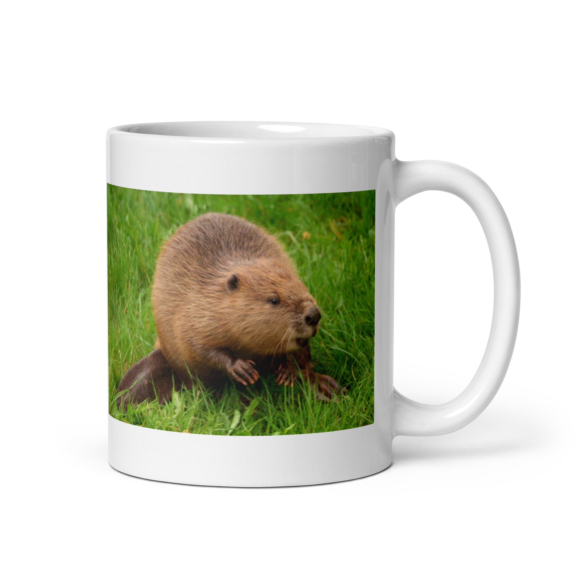 "Beaver Mug #1: The Industrious Dam Builder (Ceramic)" - 0