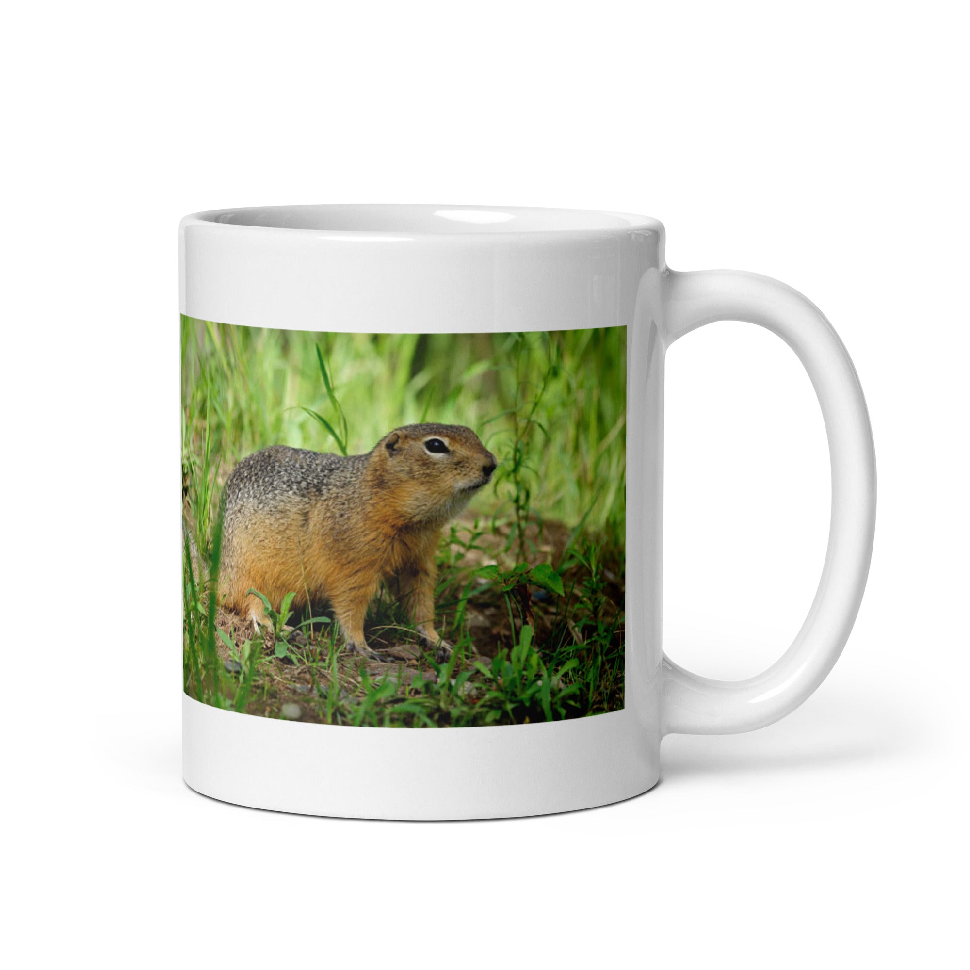 "Groundhog Mug #1: The Prognosticating Burrow-dweller (Ceramic)" - 0