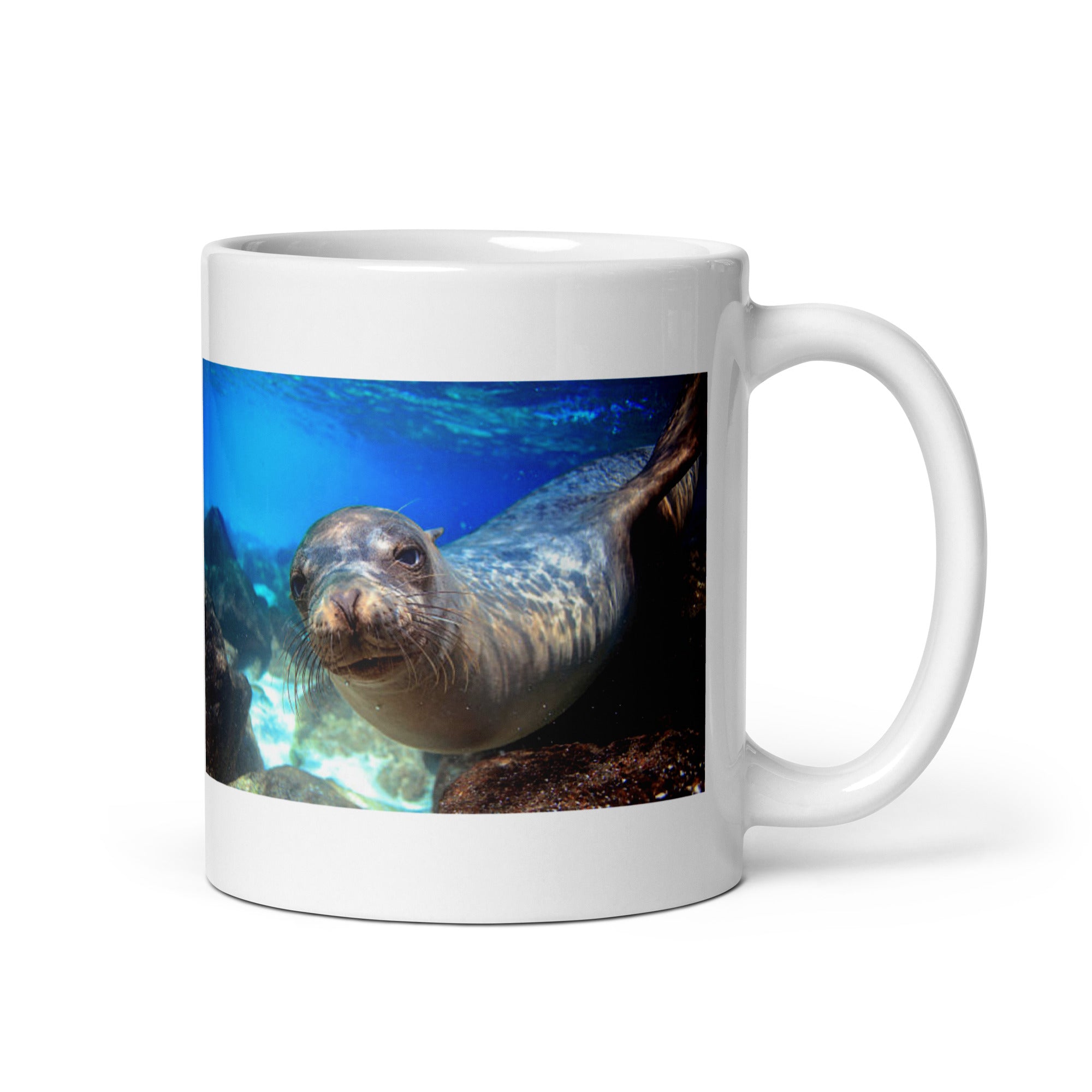 Sea Lion Mug #1: The Agile Barkers (Ceramic) - 0