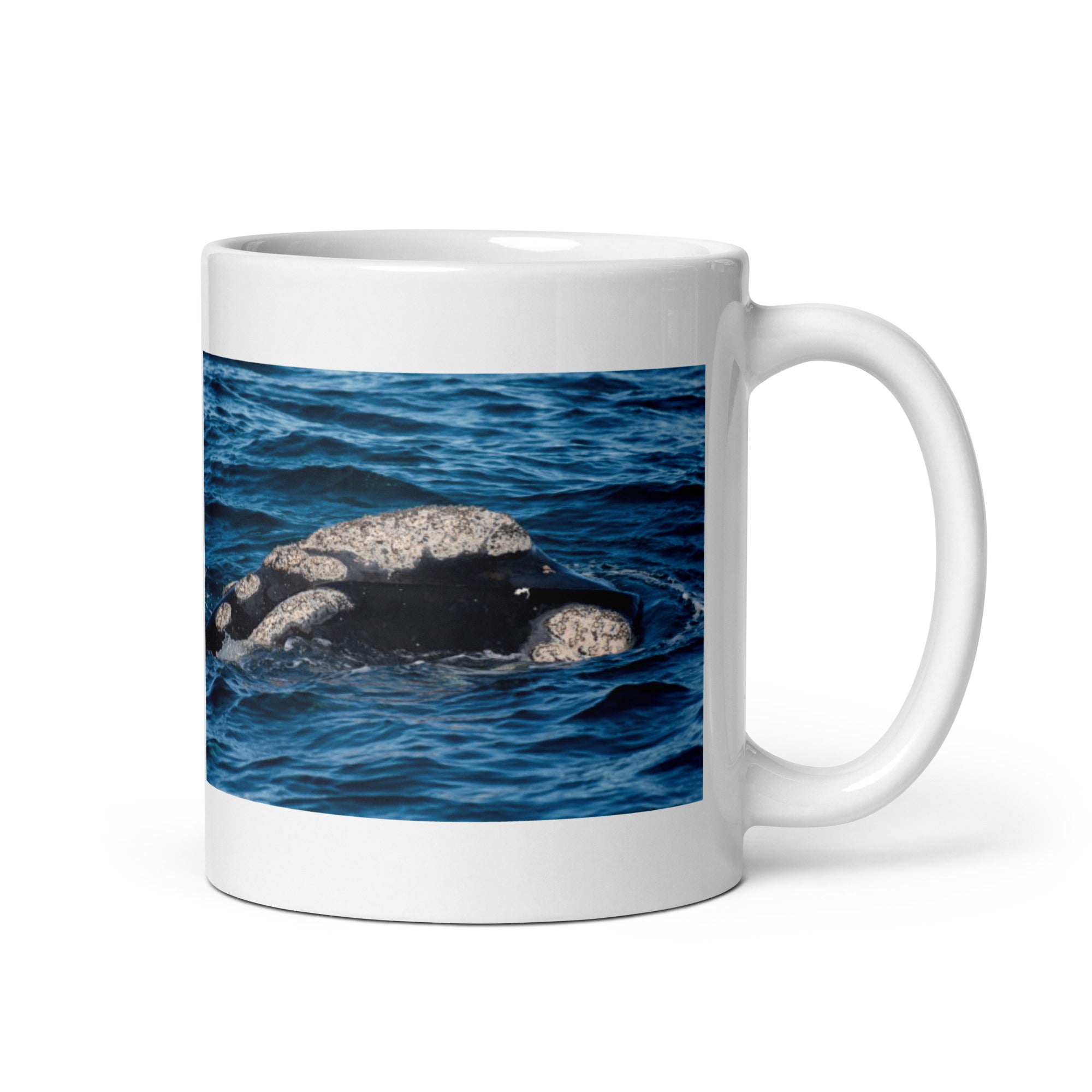 Southern Right Whale Mug #1: The Callosities Connoisseur (Ceramic) - 0