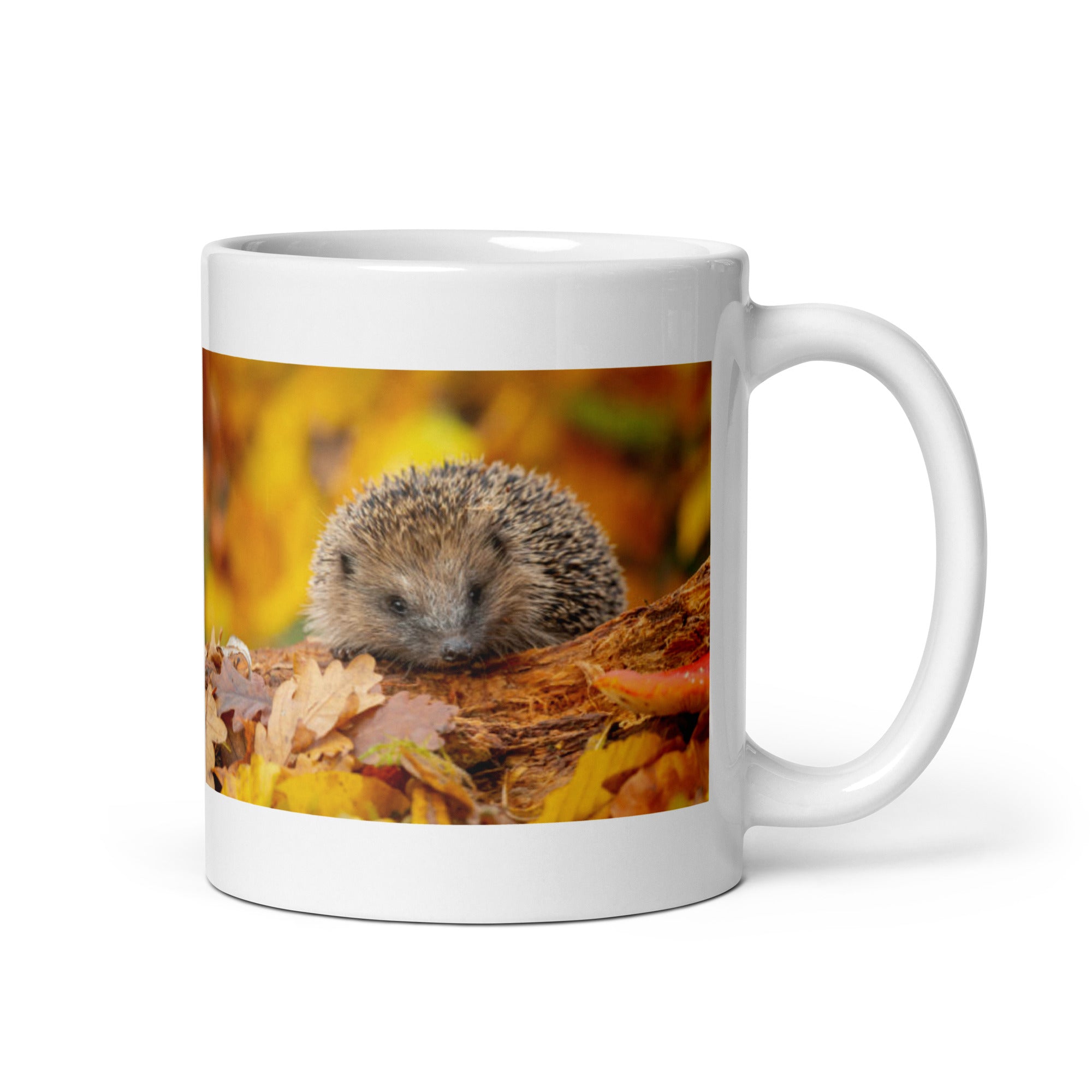 Hedgehog Mug #1: The Prickly Protector (Ceramic)