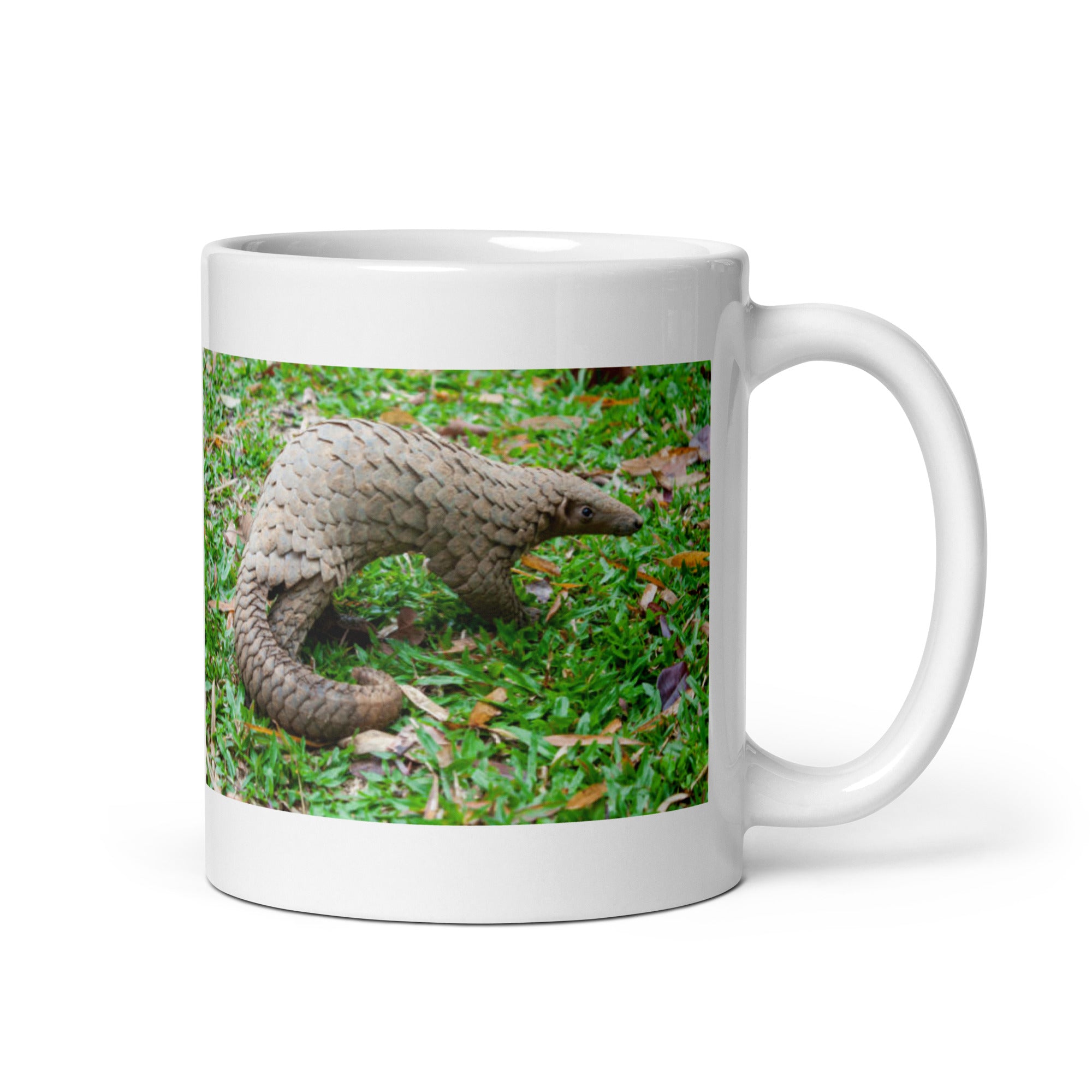 Pangolin Mug #1: The Scaly Anteater (Ceramic)