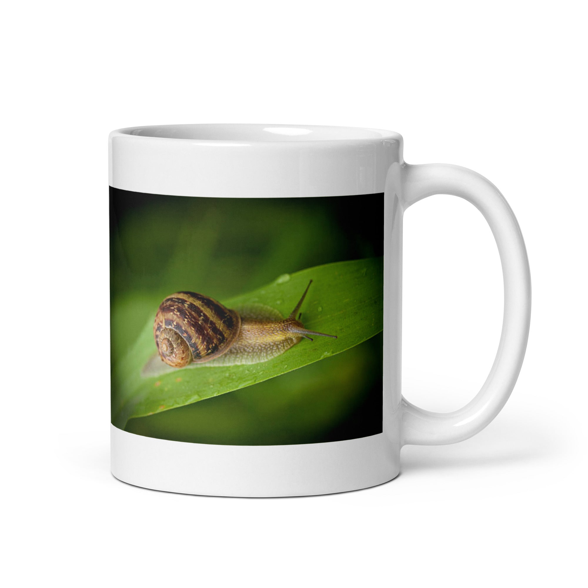 Snail and Slug Mug #1: The Slow and Steady Trailblazers (Ceramic)