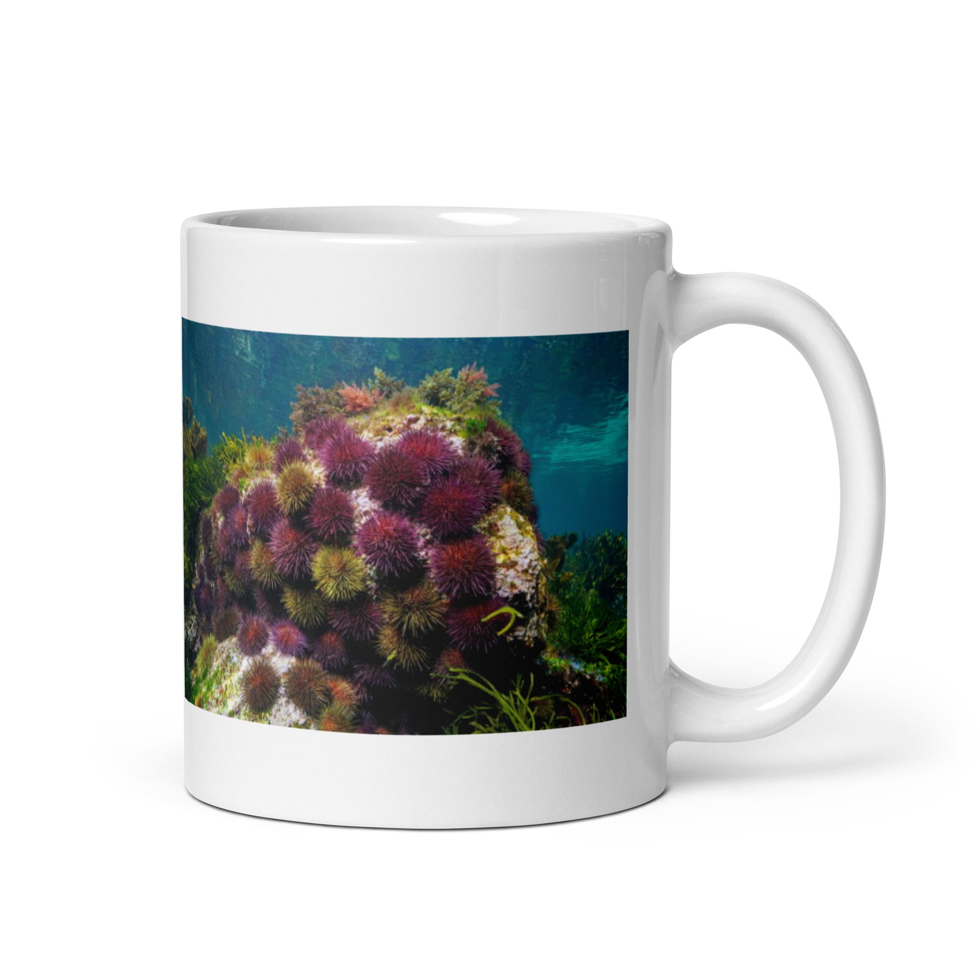 Sea Urchin Mug #1: The Spiny Defender (Ceramic) - 0