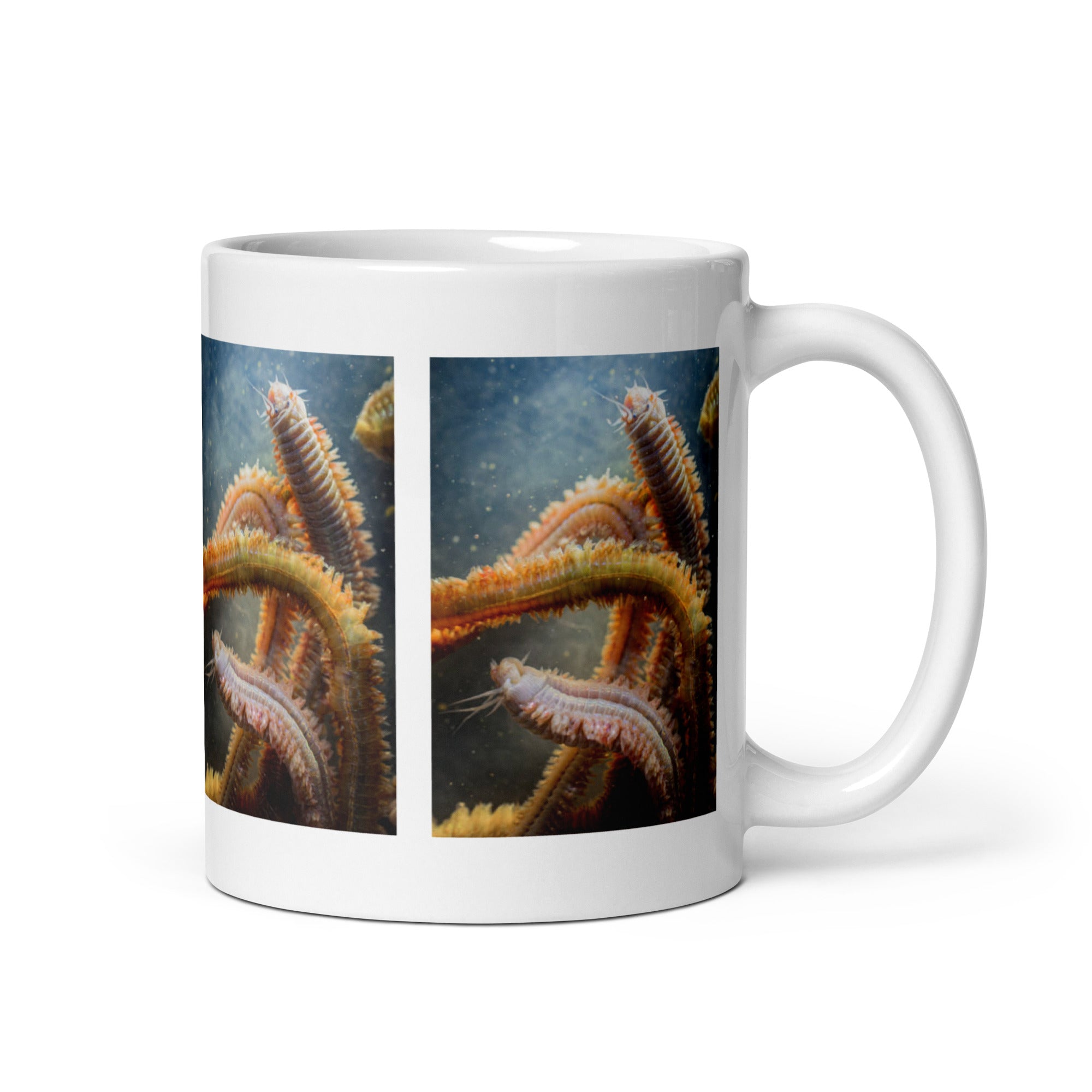 Worm Mug #1: Unique Marine Life Design (Ceramic)