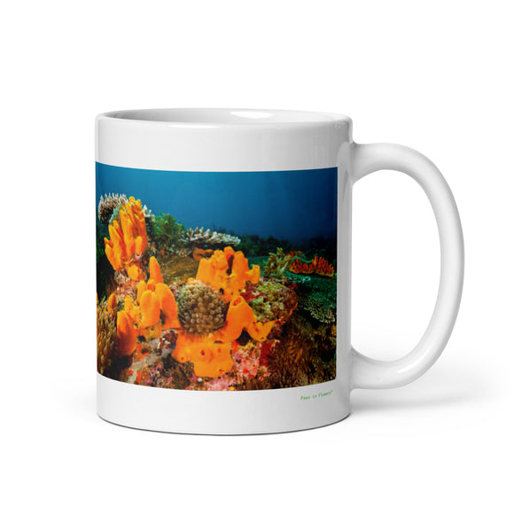 11 oz. white ceramic sponge animal mug showing a sponge animal in its natural habitat