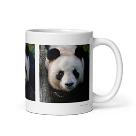 11 oz. white ceramic panda mug showing a panda in its natural habitat