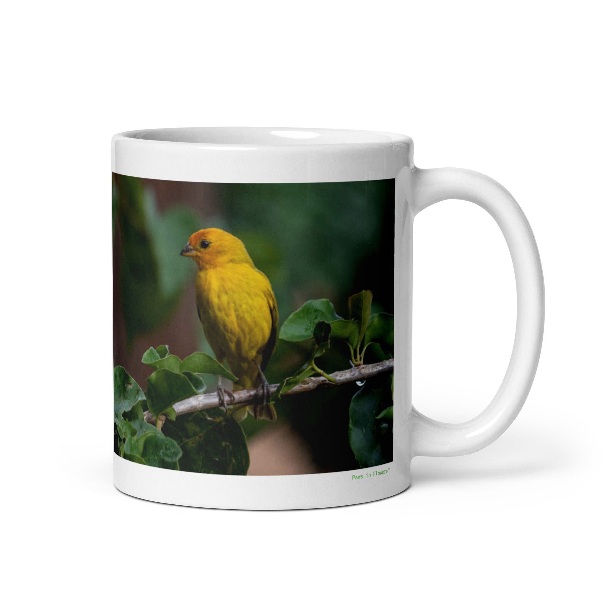 11 oz. white ceramic canary mug showing a canary in its natural habitat