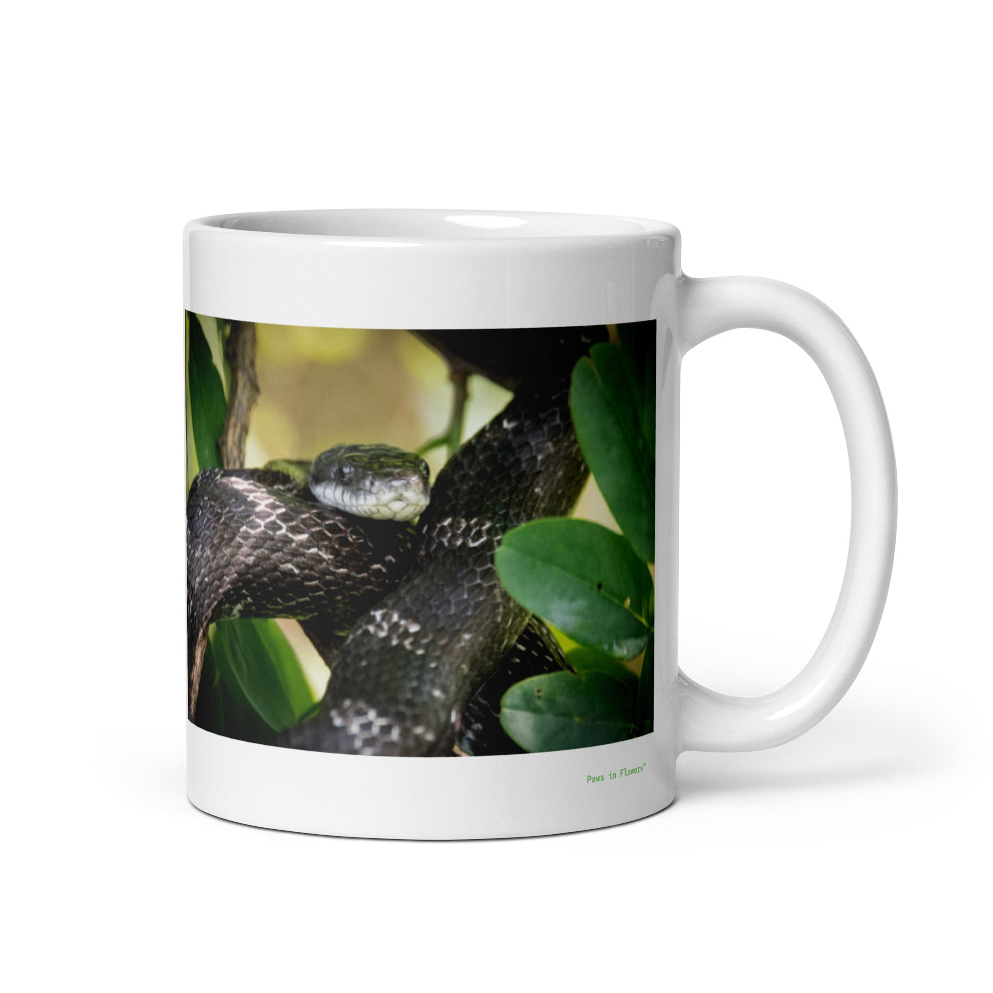 11 oz. white ceramic rat snake mug showing a rat snake in its natural habitat