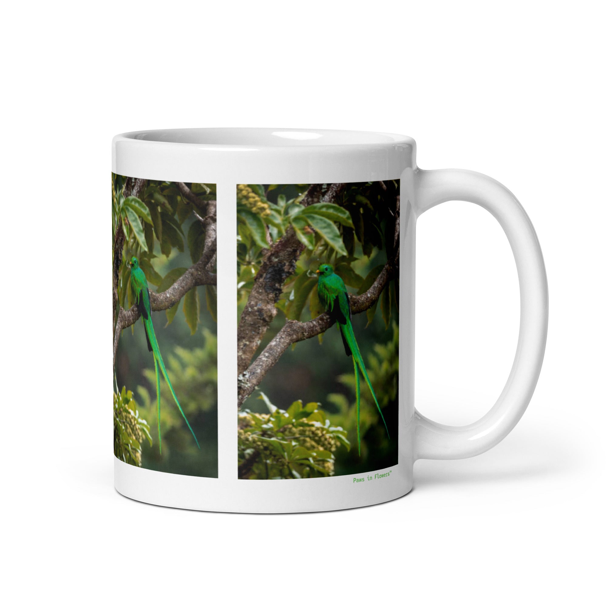 11 oz. white ceramic quetzal mug showing a quetzal in its natural habitat