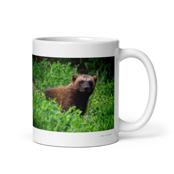 11 oz. white ceramic wolverine animal mug showing a wolverine animal in its natural habitat