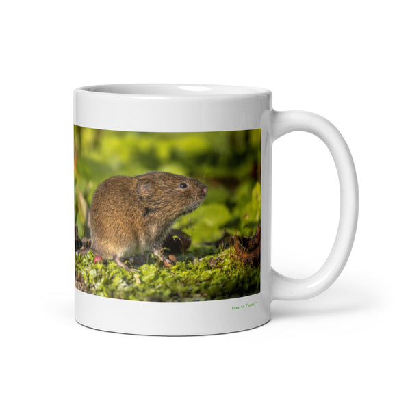11 oz. white ceramic vole mug showing a vole in its natural habitat