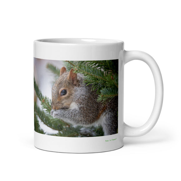 11 oz. white ceramic squirrel mug showing a squirrel in its natural habitat
