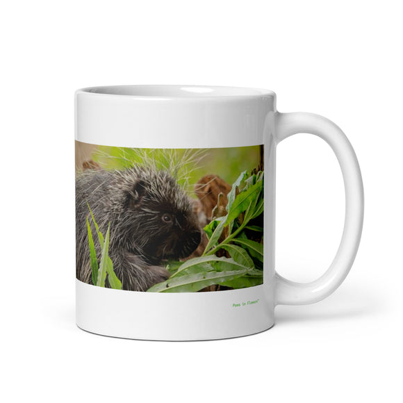 11 oz. white ceramic porcupine mug showing a porcupine in its natural habitat