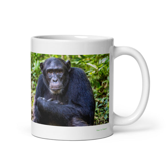 11 oz. white ceramic chimpanzee mug showing a chimpanzee in its natural habitat