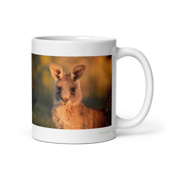 11 oz. white ceramic wallaby mug showing a wallaby in its natural habitat