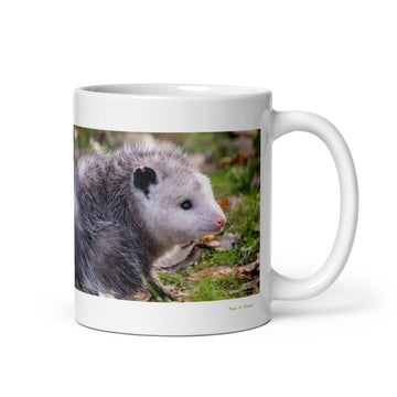 11 oz. white ceramic opossum mug showing an opossum in its natural habitat
