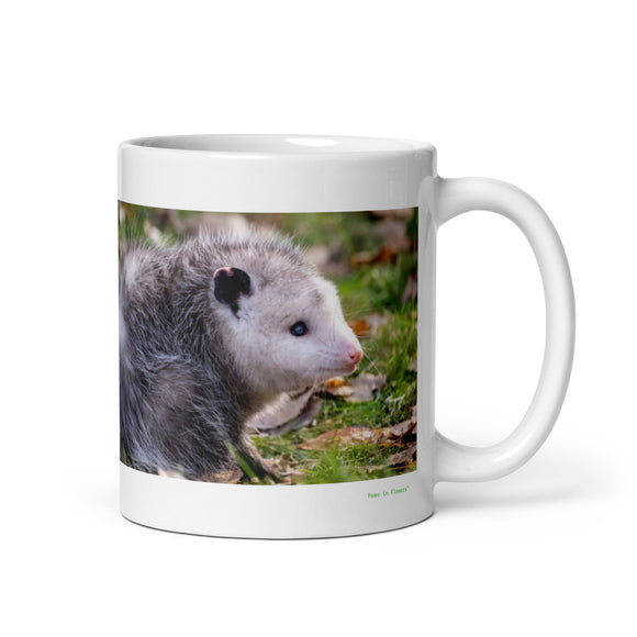 11 oz. white ceramic opossum mug showing an opossum in its natural habitat