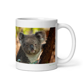 11 oz. white ceramic koala mug showing a koala in its natural habitat