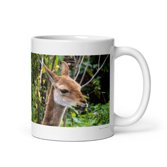 11 oz. white ceramic vicuna mug showing a vicuna in its natural habitat