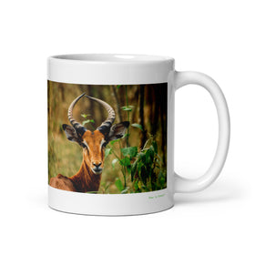 11 oz. white ceramic impala mug showing an impala in its natural habitat