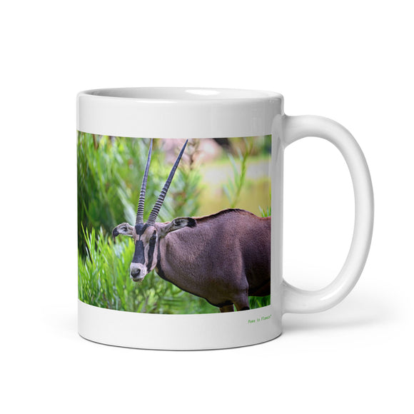 11 oz. white ceramic gemsbok mug showing a gemsbok in its natural habitat