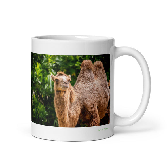 11 oz. white ceramic camel mug showing a camel in its natural habitat