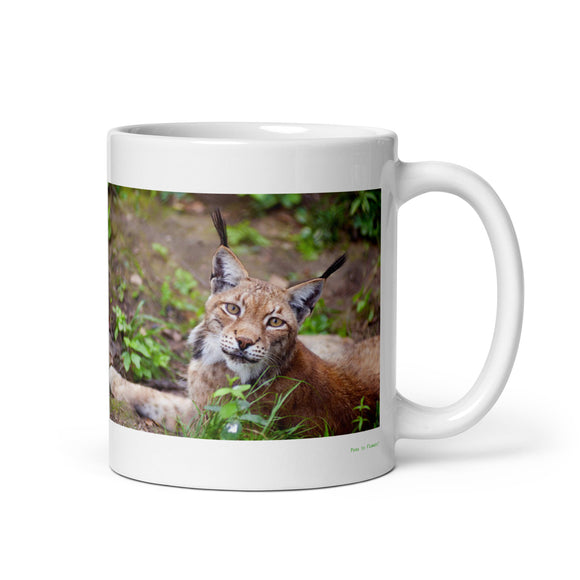 11 oz. white ceramic bobcat mug showing a bobcat in its natural habitat
