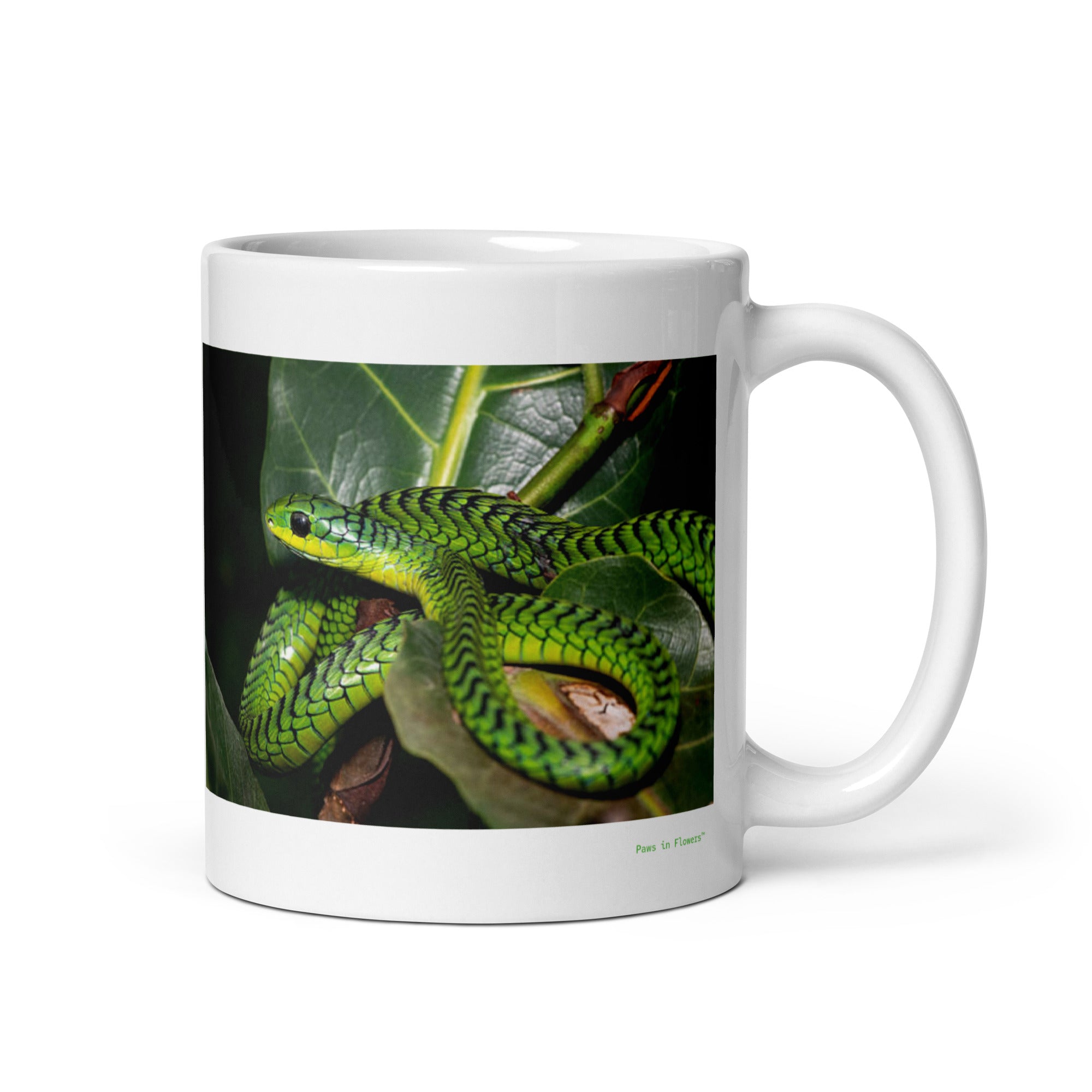 11 oz. white ceramic boomslang mug showing a boomslang in its natural habitat