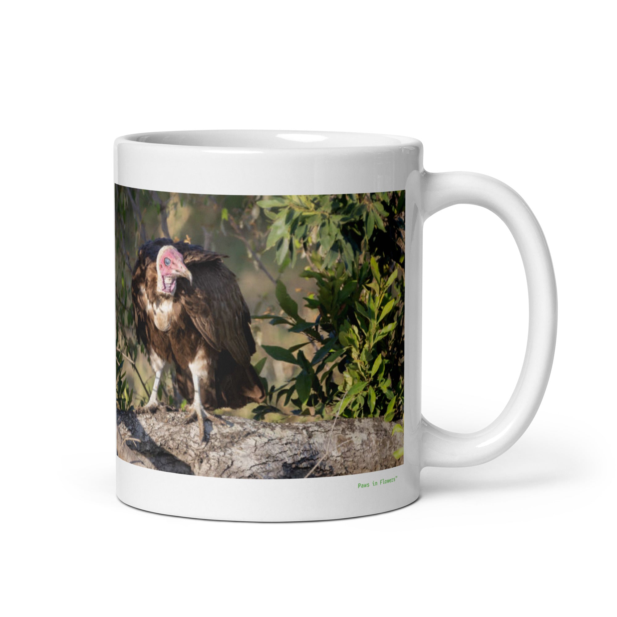 11 oz. white ceramic lappet faced vulture mug showing a lappet faced vulture in its natural habitat