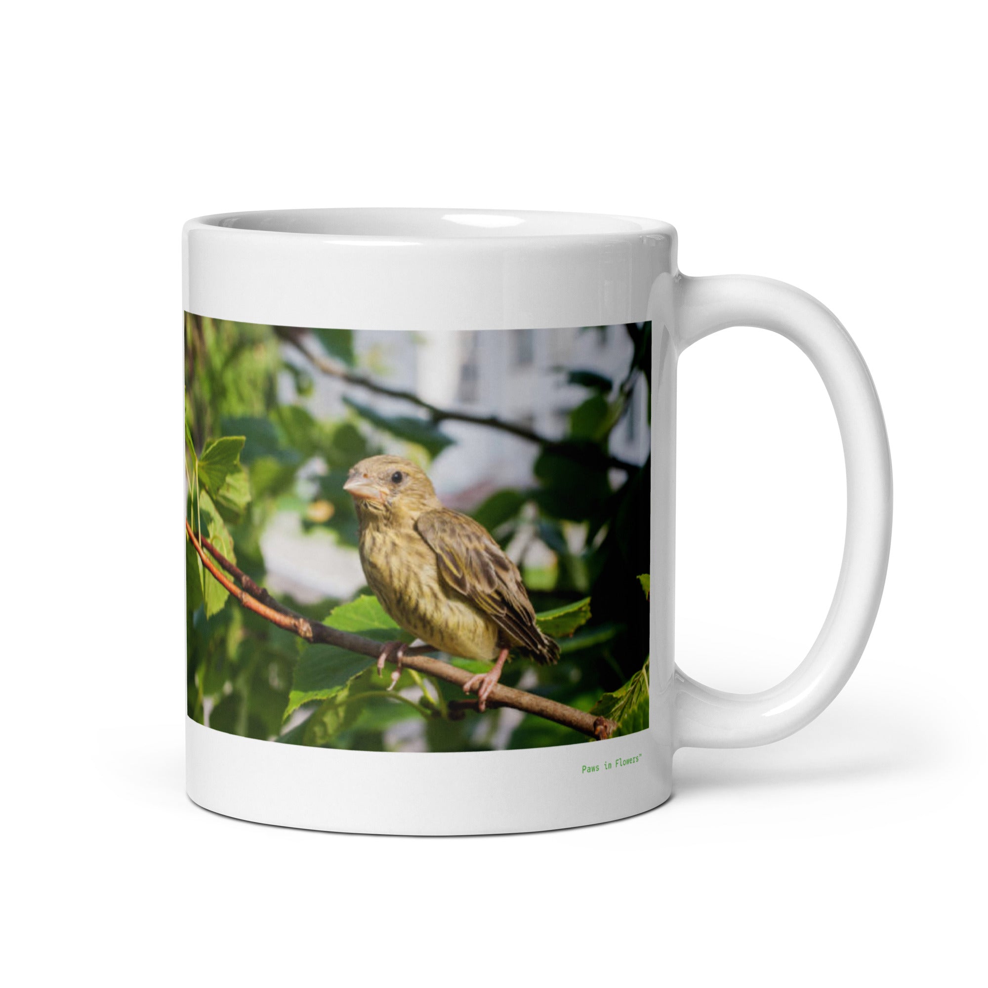 11 oz. white ceramic finch mug showing a finch in its natural habitat