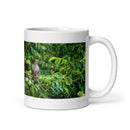11 oz. white ceramic dove mug showing a dove in its natural habitat