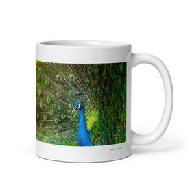 11 oz. white ceramic peacock mug showing a peacock in its natural habitat