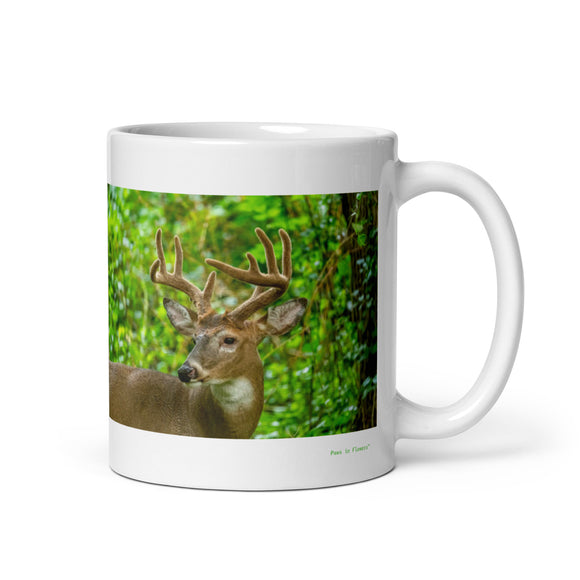 Deer
