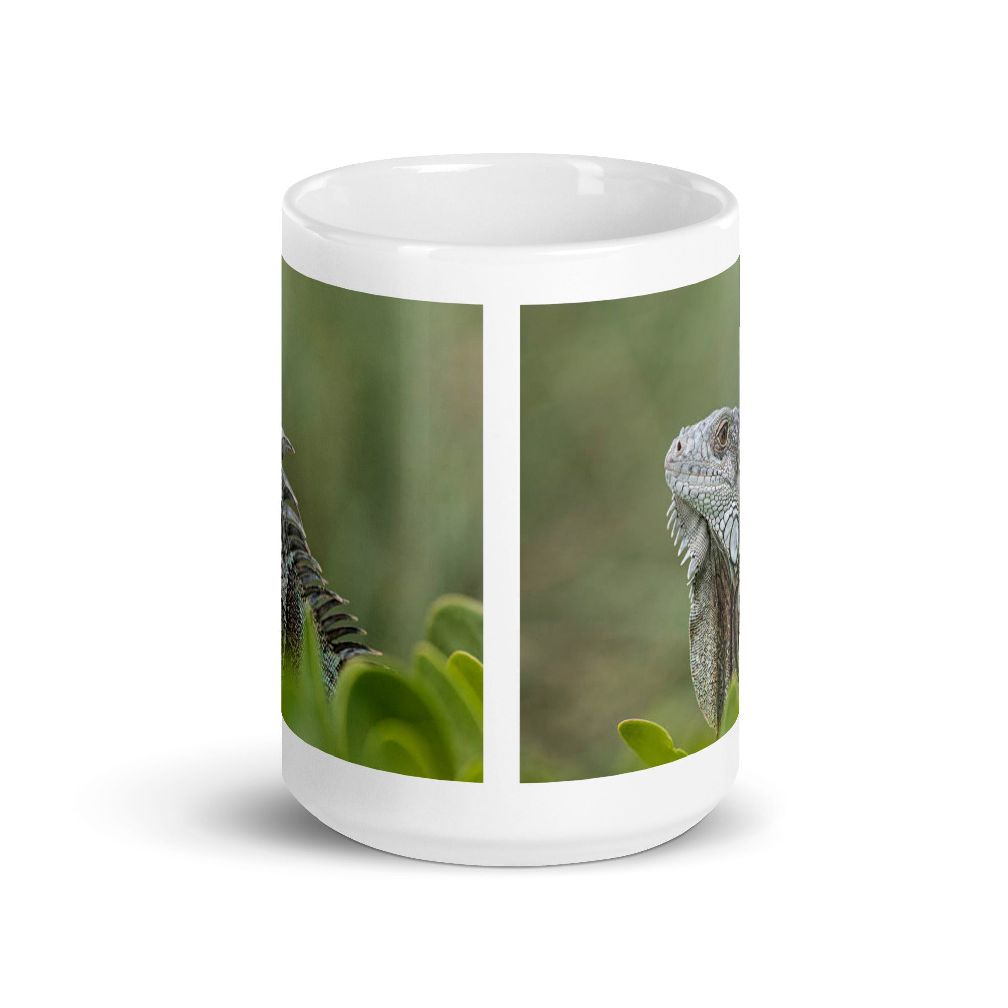 "Iguana Mug #1: Grace and Serenity of the Tropics (Ceramic)"